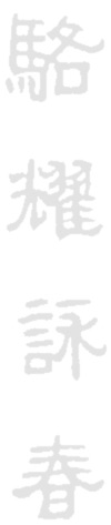 Chinesische Wing Chun Kuen Schriftzeichen